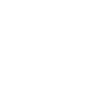 Our team