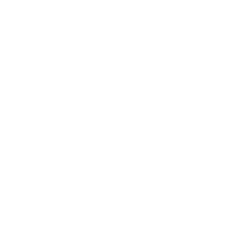 Our vision